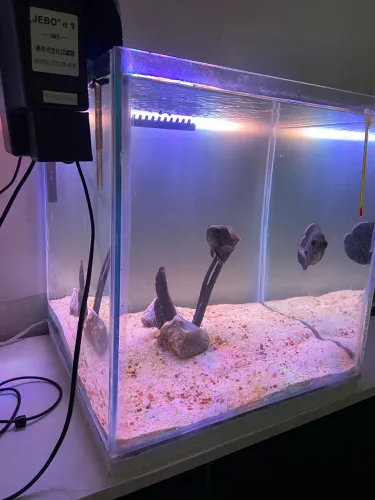 Vendo aquário semi novo
