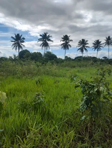 Lote no povoado Sapé - Itaporanga