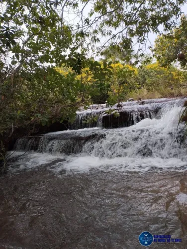Chácara à Venda em Baliza  GO | 9,5 Alqueires | Produção de Soja, Leite