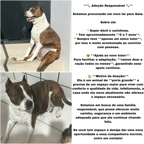 Doação Responsável 