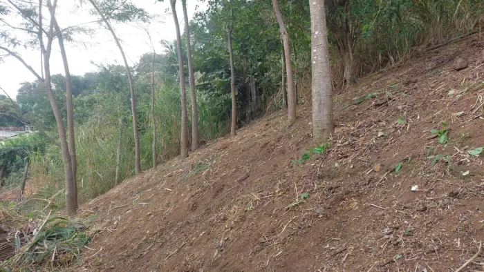 Faço capina e limpeza de quintal
