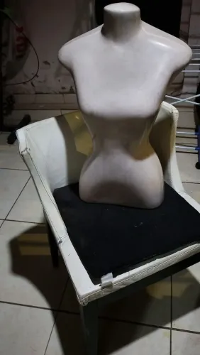 Busto feminino 