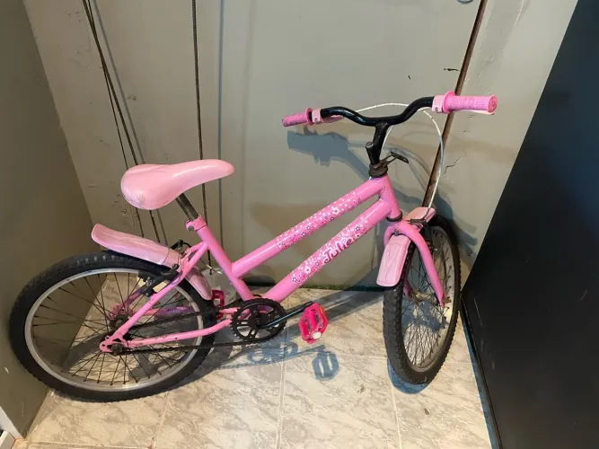 Bicicleta aro 20