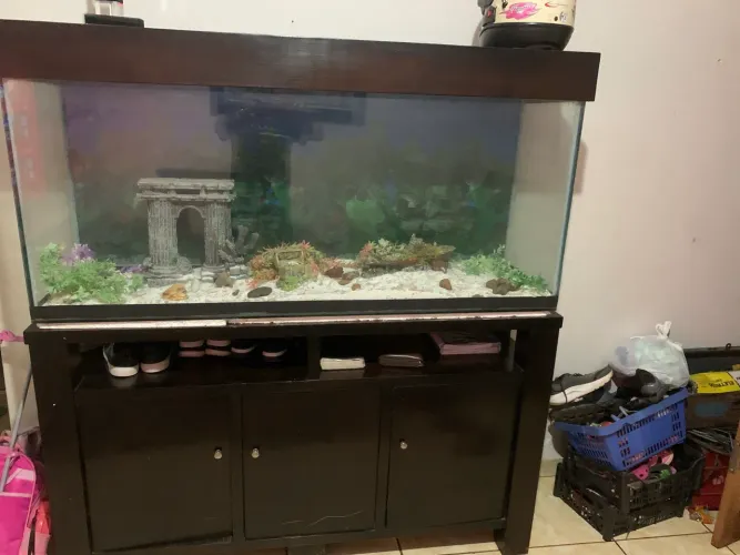 aquario grande