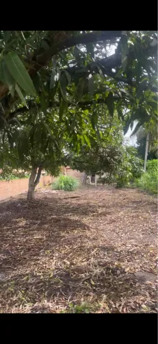 Vende-se Chacara com uma tarefa de terra toda murada