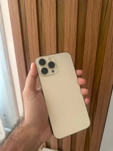 iPhone 13 Pro Max 256