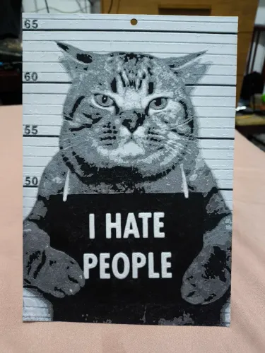Placa Decorativa - Gato Mal-Humorado (Mugshot)  