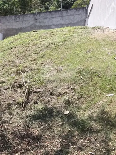 Terreno à venda no condomínio Reserva da Mata, Vinhedo - SP