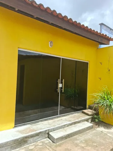 Insulfilm Carbon Profissional