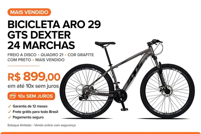 Bicicleta Aro 29  GTS DEXTER  24 Marchas