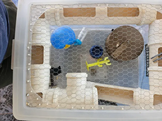 Caixa organizadora 60l adaptada para hamster