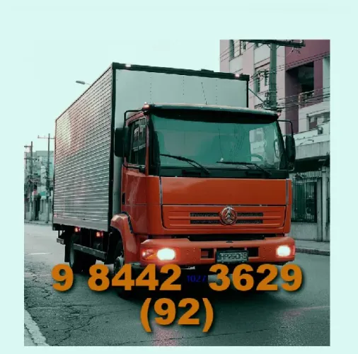 Frete Bau com ou s/ montador Wilson Aceito Pix