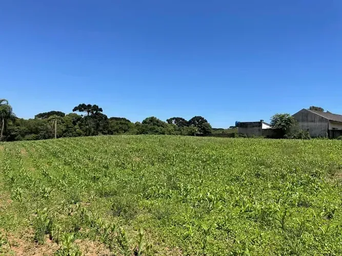 Terreno comercial ou residencial | Umbará | 15.524m²