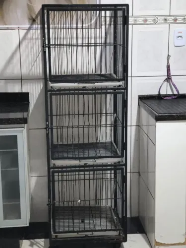 Equipamentos de banho e tosa