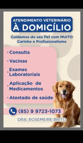Atendimento Veterinário a domicílio 
