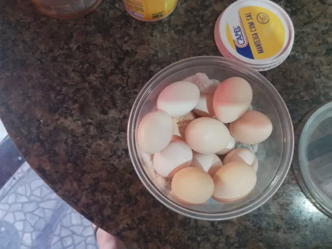 Vendo ovos de garnize nagazaki galados férteis R$120:00 dúzia