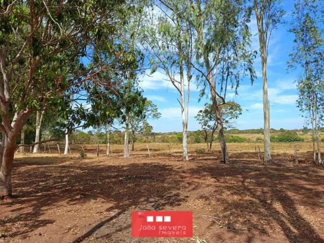 Fazenda para Venda em Jangada