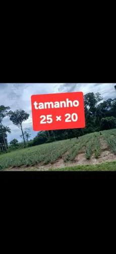 Terreno na vila do engenho 