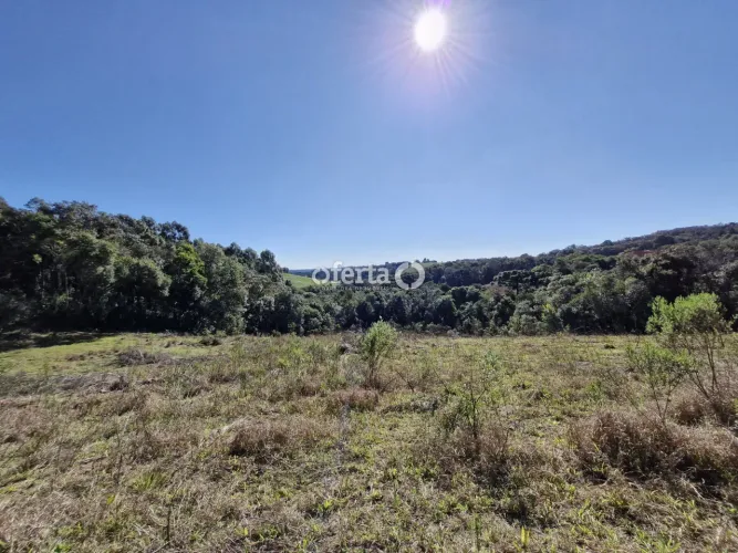 Chácara em Araucária / Rio Verde Acima