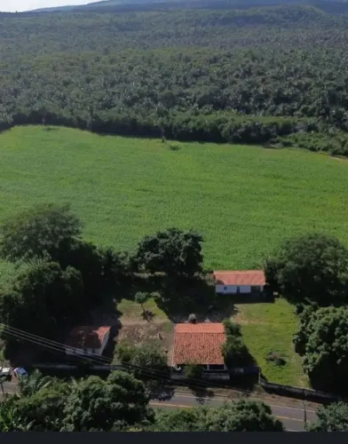 Fazenda Cambiá em Barro Duro (PI)