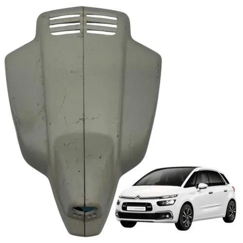 *Moldura teto sensor Citroën C4 Grand  c4 Picasso 2018 2019