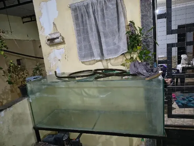 AQUÁRIO PEIXES Água DOCE SALGADA