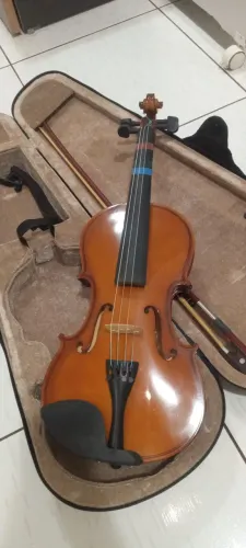 Violino profissional 