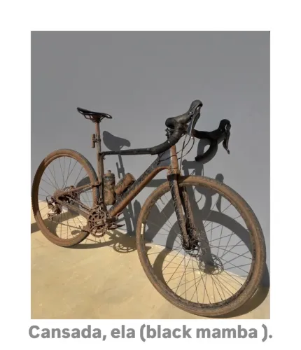 Bike Gravel Cannondale carbon