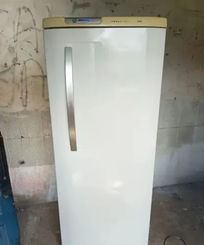 Geladeira Electrolux frost free 