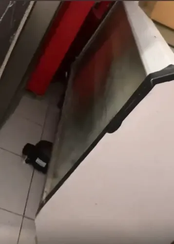 Freezer expositora ( tem que botar gás )