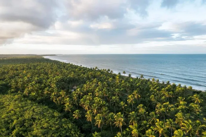 Lote / Terreno à venda em Santa Cruz Cabrália