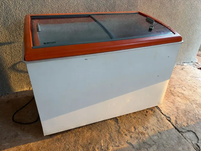 Freezer expositor