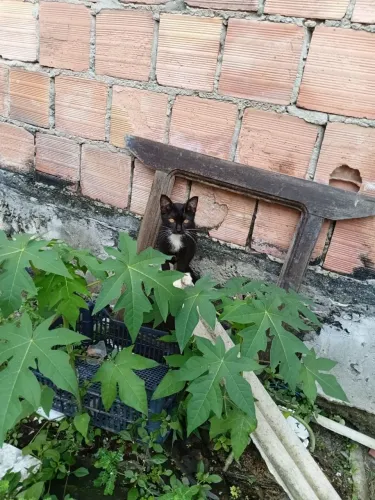 Doação