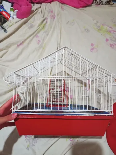Vendo gaiola para hamsters 100 reais (comprei por 150) com bebedouro, rodinha e potinho.