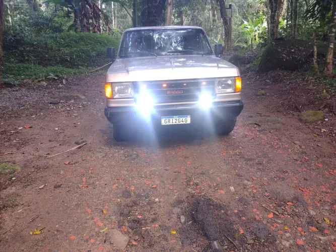 Ford F-1000 S. S. Diesel / S.s. Diesel Turbo 1995