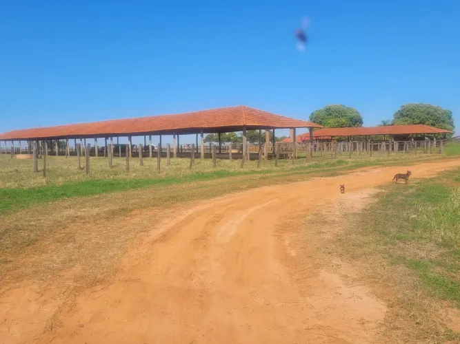 CONFINAMENTO COMPLETO PARA ENGORDA DE ANIMAIS