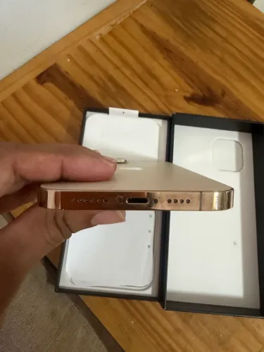 iPhone 12 Pro Max 256