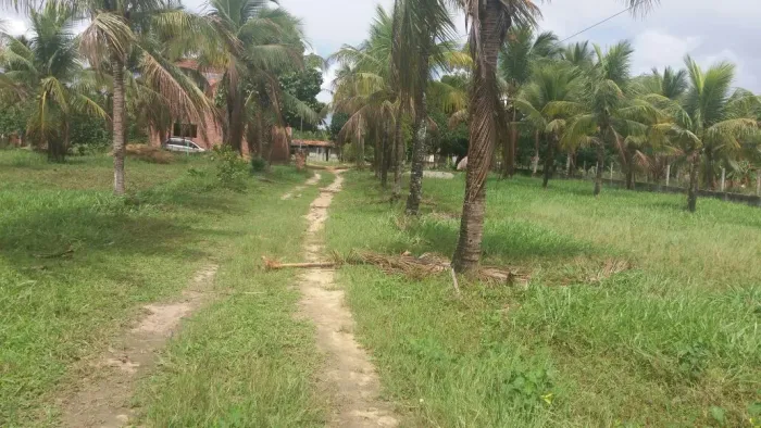 Sítio em Esplanada-BA