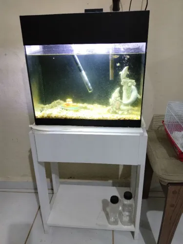 Aquário