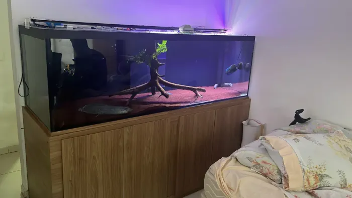 Venda aquário 