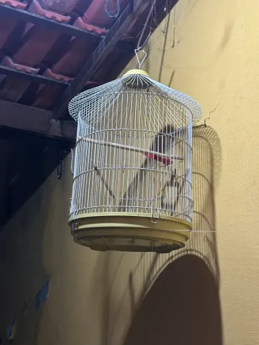 Gaiolas e suporte