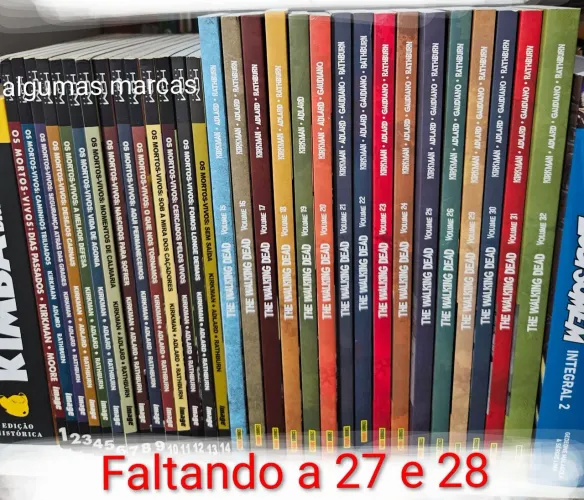 The walking dead - faltando 27 e 28