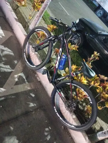 Bicicleta aro 29