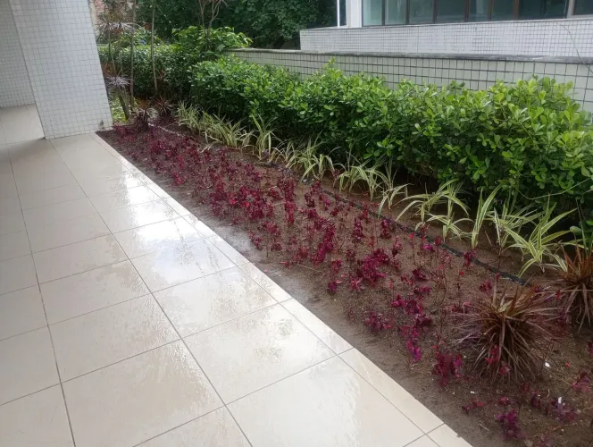 Jardineiro a disposição 