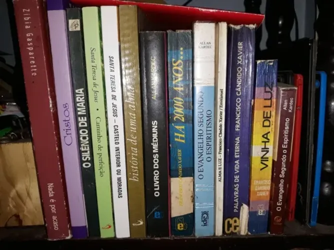 Lote de livros espírita