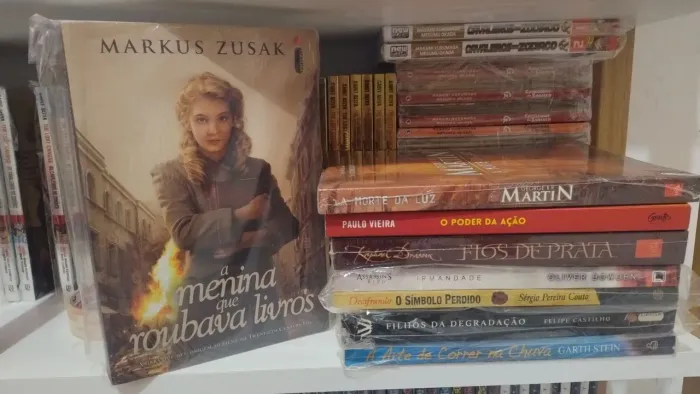 Lote de livros