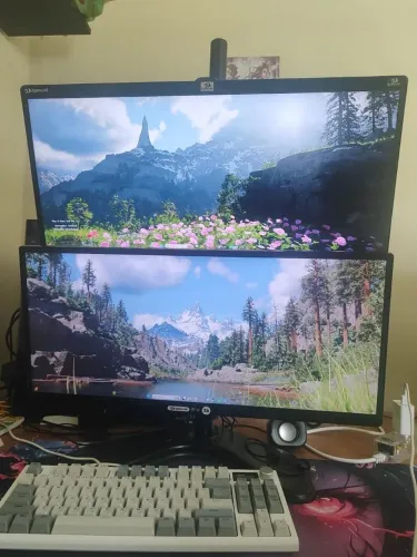2 monitor LG 25pol com suporte vertical ?