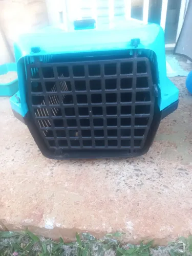 Caixa pra transporte de animais