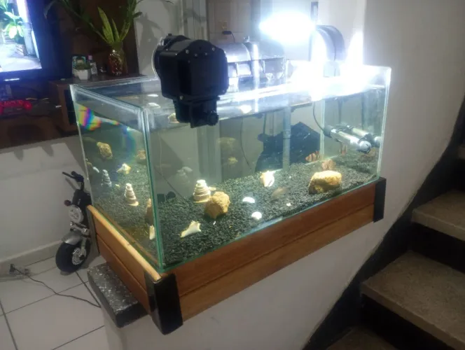 Aquário 42 Litros COMPLETO