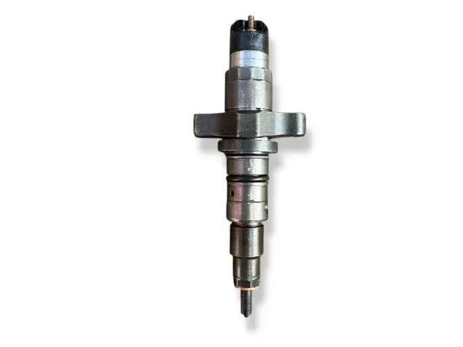 Bico Injetor 4cc Cummins Isb Vw * 24250 17250 Orig